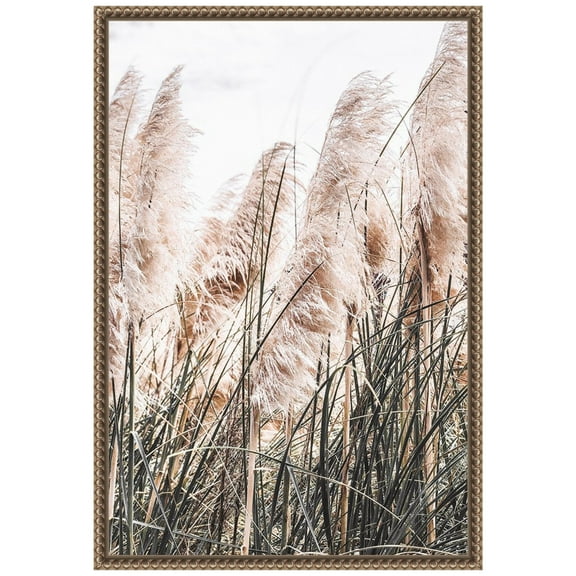 Amanti Art Pampas Grass Framed Canvas Wall Art Print