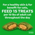 thumbnail image 4 of Greenies Feline Smartbites Salmon Flavor Skin & Fur Health Cat Treats, 4.6 oz Pack, 4 of 8