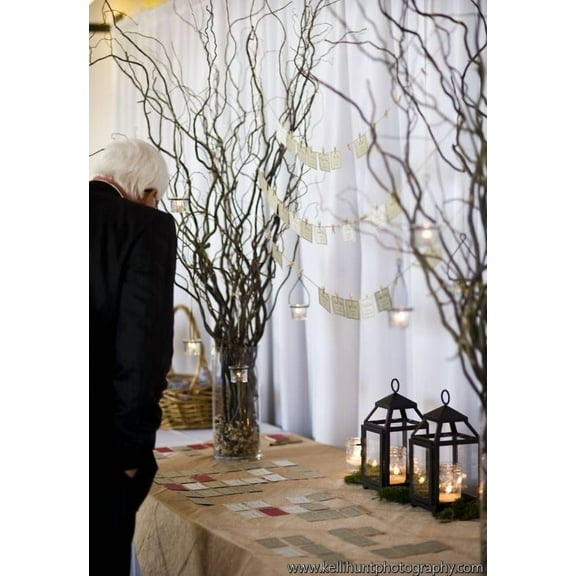 10 Natural Curly Willow Branch Tips Great for Decoration Vase Filler Wedding or Event Decor Approx.  3 Foot Tall