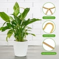 thumbnail image 3 of Enrejado de Metal pequeño de 4 Uds para plantas en macetas, enrejado dorado para plantas trepadoras de interior, Mini enrejado para plantas en macetas, estaca de soporte, 3 of 5