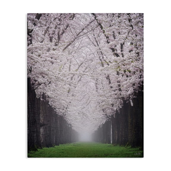 Stupell Industries French Country Cherry Blossom Grove Canvas Art, 16 x 20, by Martin Podt