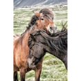 thumbnail image 3 of Head, Danny 11x14 Black Modern Framed Museum Art Print Titled - Best Friends, 3 of 5