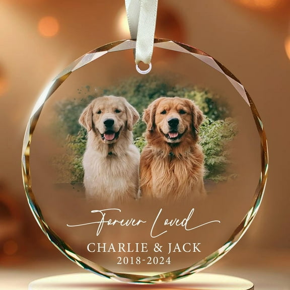 Personalized Pet Memorial Ornament, Custom Dog Ornament, Loss Of Dog Ornament, Pet Memorial Gifts, Dog Mom Christmas Gift, Remembrance Gift