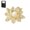 D, variant on Shell brooch,Decorative Brooch, Elegant Versatile Accessory for Dress Suit or Sweater, Comes with Gift Box 