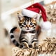 thumbnail image 1 of Colgante de coche de Navidad para gatos - Decoración colgante festiva para espejo retrovisor, mochila y hogar, adorno navideño rojo y verde, 1 of 7