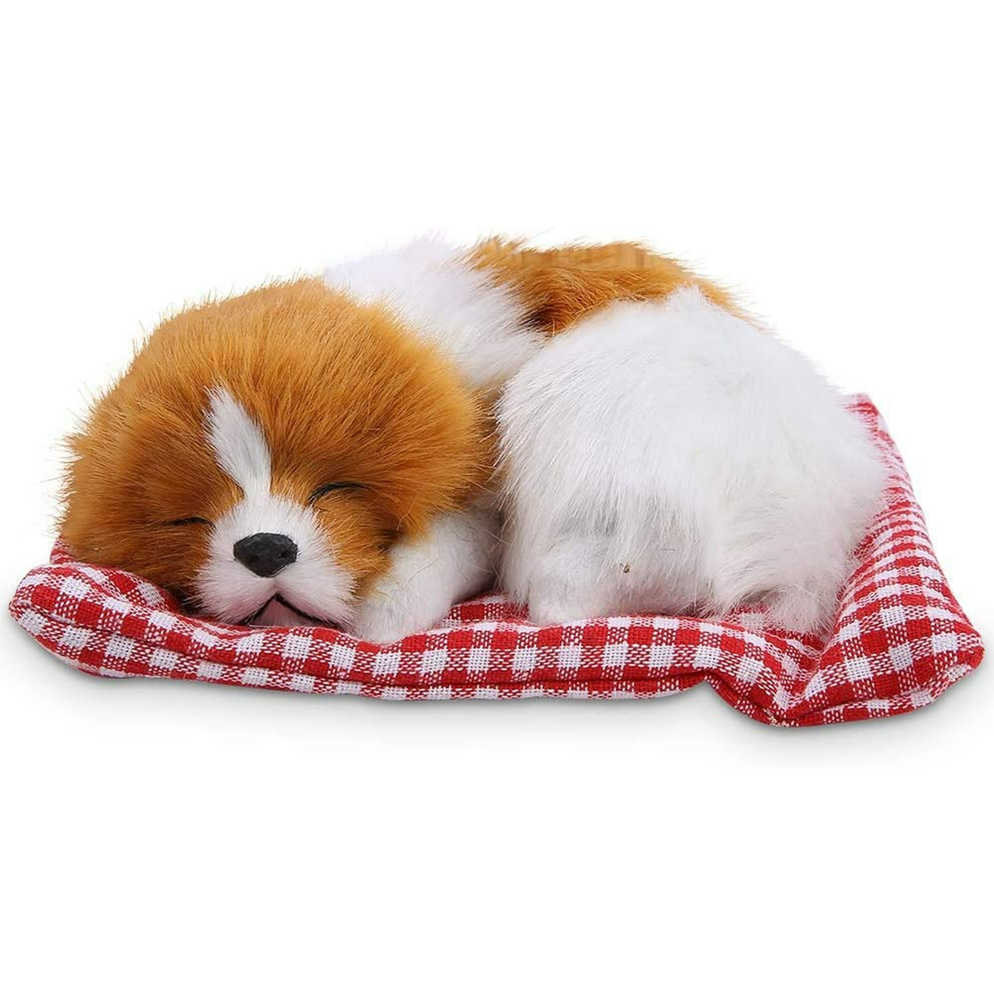 Why Do Dogs Take Toys To Bed