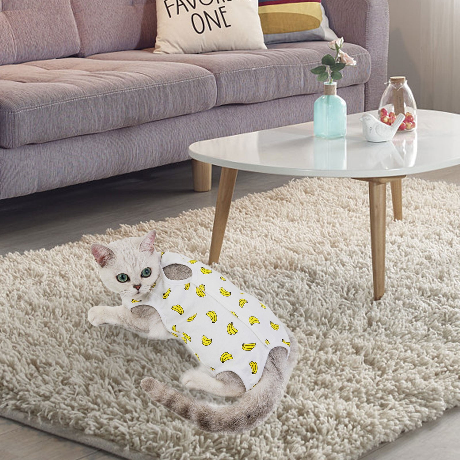 Dog Recovery Suit Onesie After Pet Spayed Neutered Shirt For Female Male Dogs Cats Postoperative Snuggly Vest For Abdominal Wounds Weaning Licking Vest Dog Small Breed Puppy Adjustable