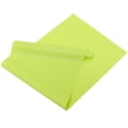 thumbnail image 1 of OULII Pet Owner Accessories Reptile Carpet Light Green 1Set, 1 of 6
