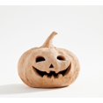 thumbnail image 1 of Citrouille Artisanale Faite à la Main avec Détails Sculptés, Décoration Automne & Halloween 2025, Terre Cuite Naturelle, 9.5 Pouces, 1 of 13