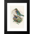 thumbnail image 2 of John Gould 13x18 Black Modern Framed Museum Art Print Titled - Burmese Roller (1850-1883), 2 of 5