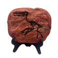 thumbnail image 1 of Dinosaur Fossil Figurine Easy-cleaning Plastic Dinosaur Fossil Statue for Gift, 1 of 8