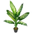 thumbnail image 4 of Northlight Artificial Variegated Dieffenbachia Leaf Potted Plant - 36", 4 of 7