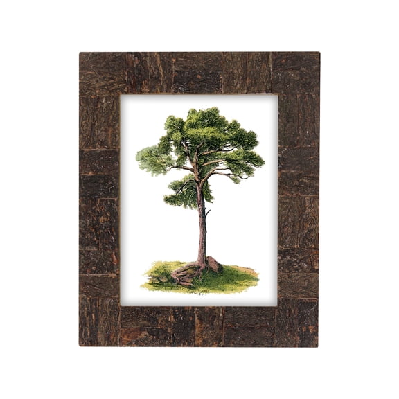 India Handicrafts 20686 Rustic Natural Brown 8 x 10 Wood Picture Frame for Wall or Table Top Display of Family