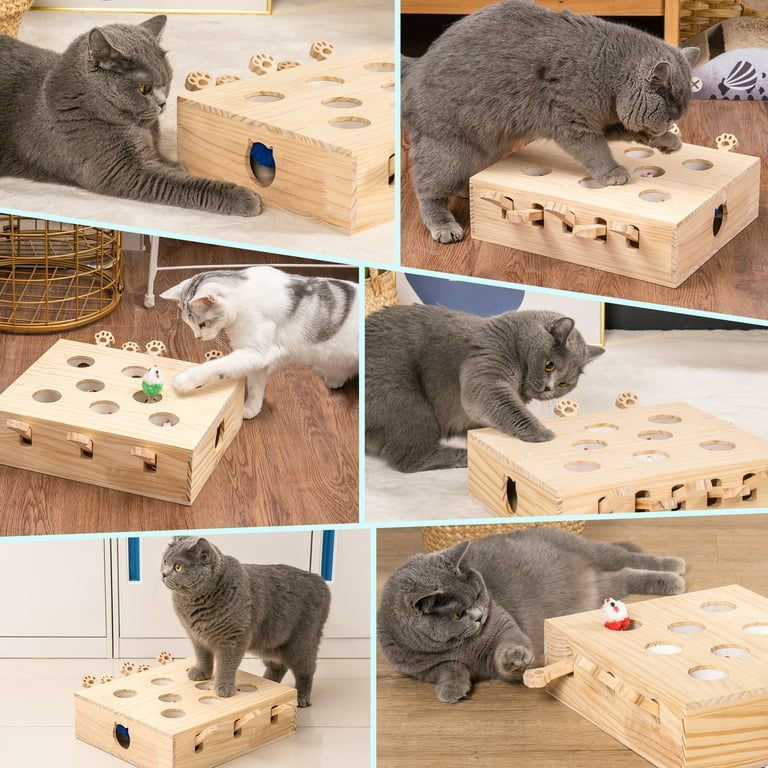 kathson Cat Enrichment Toys for Indoor Cats, Solid Wood Kitten Whack A Mole  Interactive Box Catch Mice Game Cat Puzzle Toy for All Ages Cats Kittens  Exercise Puzzle Relieve Boredom - Yahoo