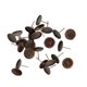 thumbnail image 1 of 24pcs 10mm Pendientes de Bisel Ba Poste Espacios en Pendientes Resultados Del Perno Prisionero Cobre Gloria Pendientes Redondo Bisel, 1 of 7