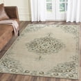 thumbnail image 3 of 8â€™ x 10â€™ Ivory Distressed Floral Area Rug, 3 of 5