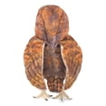 thumbnail image 3 of Folkmanis Puppets - 3124 | Barn Owl Puppet, 3 of 3