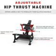 ROBUSTFIT Commercial Glute Bridge Machine, Heavy Duty PlateLoaded Hip