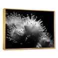thumbnail image 2 of Designart "Enchanting Pufferfish Beauty" Coastal Coral Under Water Floater Framed Wall Art Prints, 2 of 5