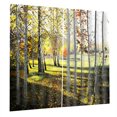 thumbnail image 1 of Paisajes Impreso Cortinas Elegante de Multicolores Duradero - Bosque de cipreses, 65x59 pulgadas Sunnimix Cortinas De Ventana De Baño, 1 of 8