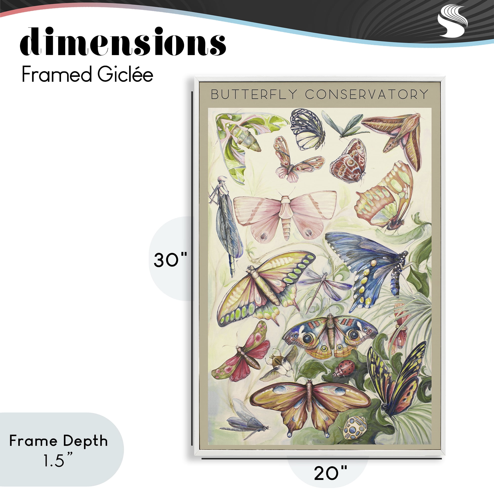 Stupell Industries Butterfly Conservatory Insects White Framed Giclee Art, design by Diannart