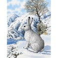 thumbnail image 1 of Carolines Treasures ASA2037CHF Mountain Hare White Rabbit Flag Canvas House Size, 1 of 4