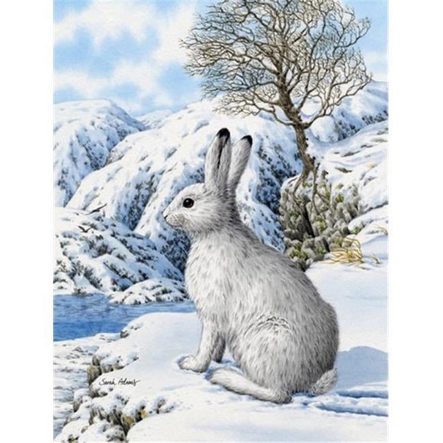 Carolines Treasures ASA2037CHF Mountain Hare White Rabbit Flag Canvas House Size