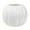 White, variant on Chanana Pumpkin Shape Plastic Vase for Dry Flower Halloween Thanksgiving Decorations - Flower Decorative Vase Fall Decorations - Modern Pot for Home Room Office Party Wedding