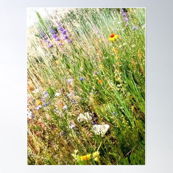Wildflowers Poster Wall Art, Modern Wall Decor For Living Room Bedroom, 8x12 UNFRAMED