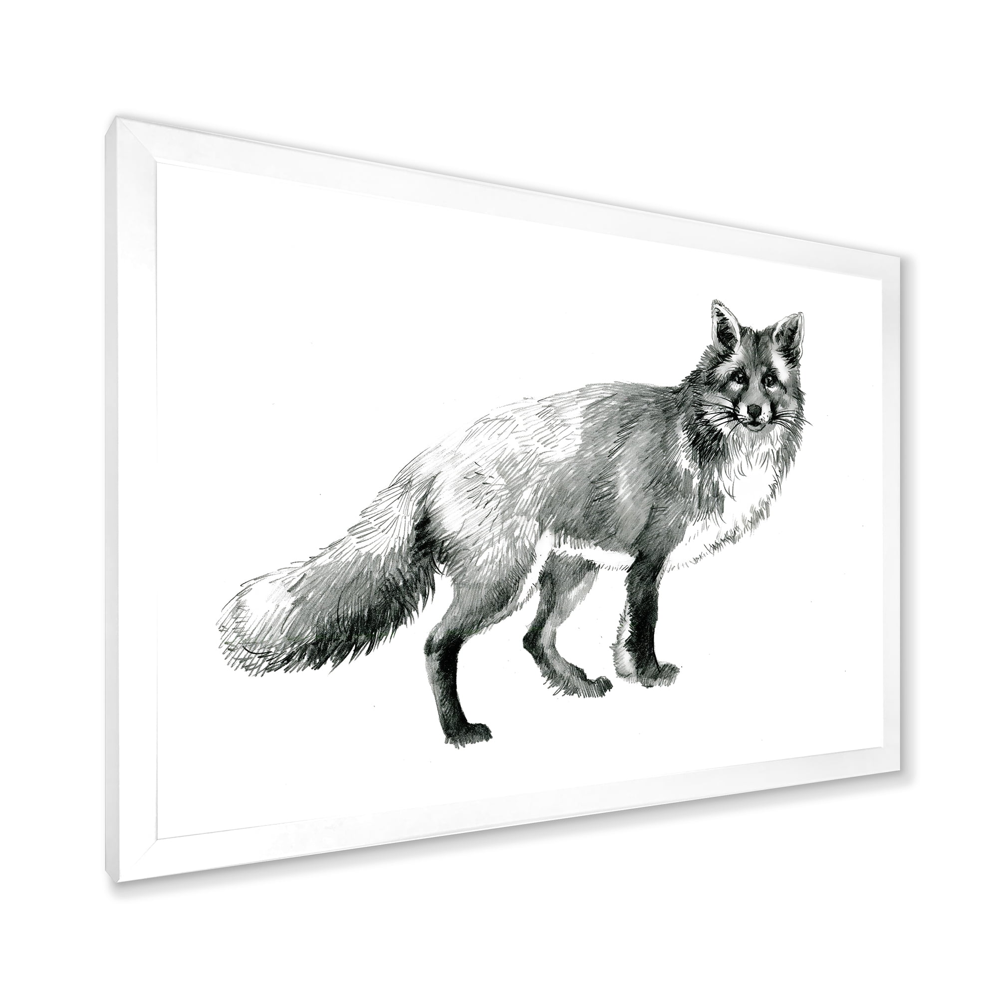 Designart 'Black and White Portrait Fox' Farmhouse Framed Art Print