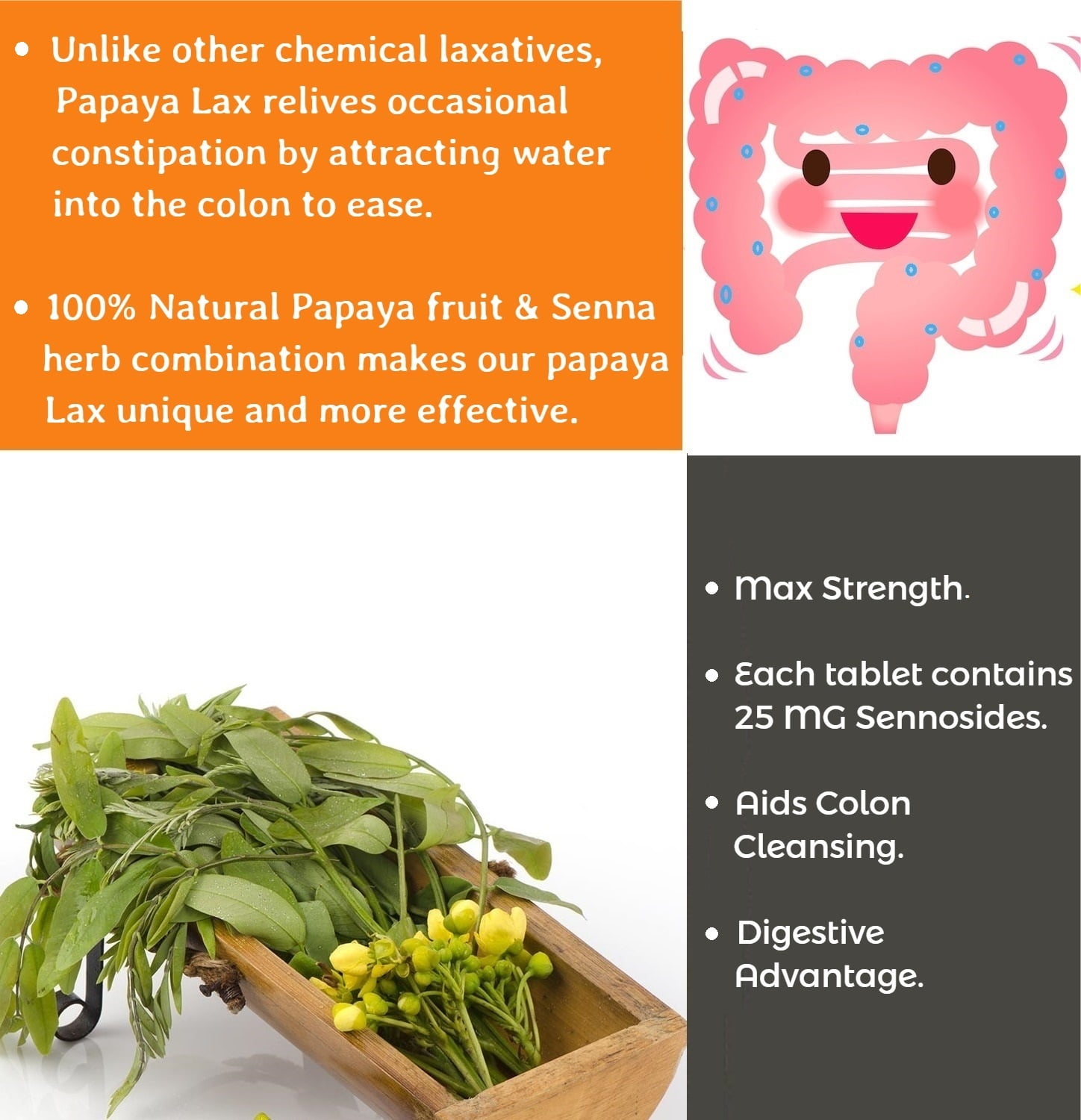 Senna laxative Tablets Occasional Constipation Kuwait Ubuy