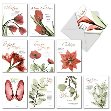 Inspirational Christmas Quotes For Cards 10 Inspirational Quote Christmas Card Set with Envelopes (4 x 5.12 Inch) ()