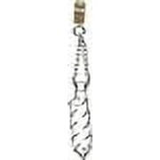 Coastal Pet Titan Dog Prong Training Collar - Rust-Resistant and Prong Metal Training Chain Collar for Dogs - Quality Supplies - 3.3 mm x 20