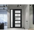 thumbnail image 6 of Front Exterior Prehung Metal-Plastic Door Frosted Glass / Manux 8002 Matte Black / Side Window / Office Commercial and Residential Doors Entrance Patio Garage 48" x 80" Left-hand Inswing, 6 of 6