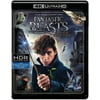 Fantastic Beasts and Where to Find Them (4K Ultra HD + Blu-ray), Warner Home Video, Kids & Family