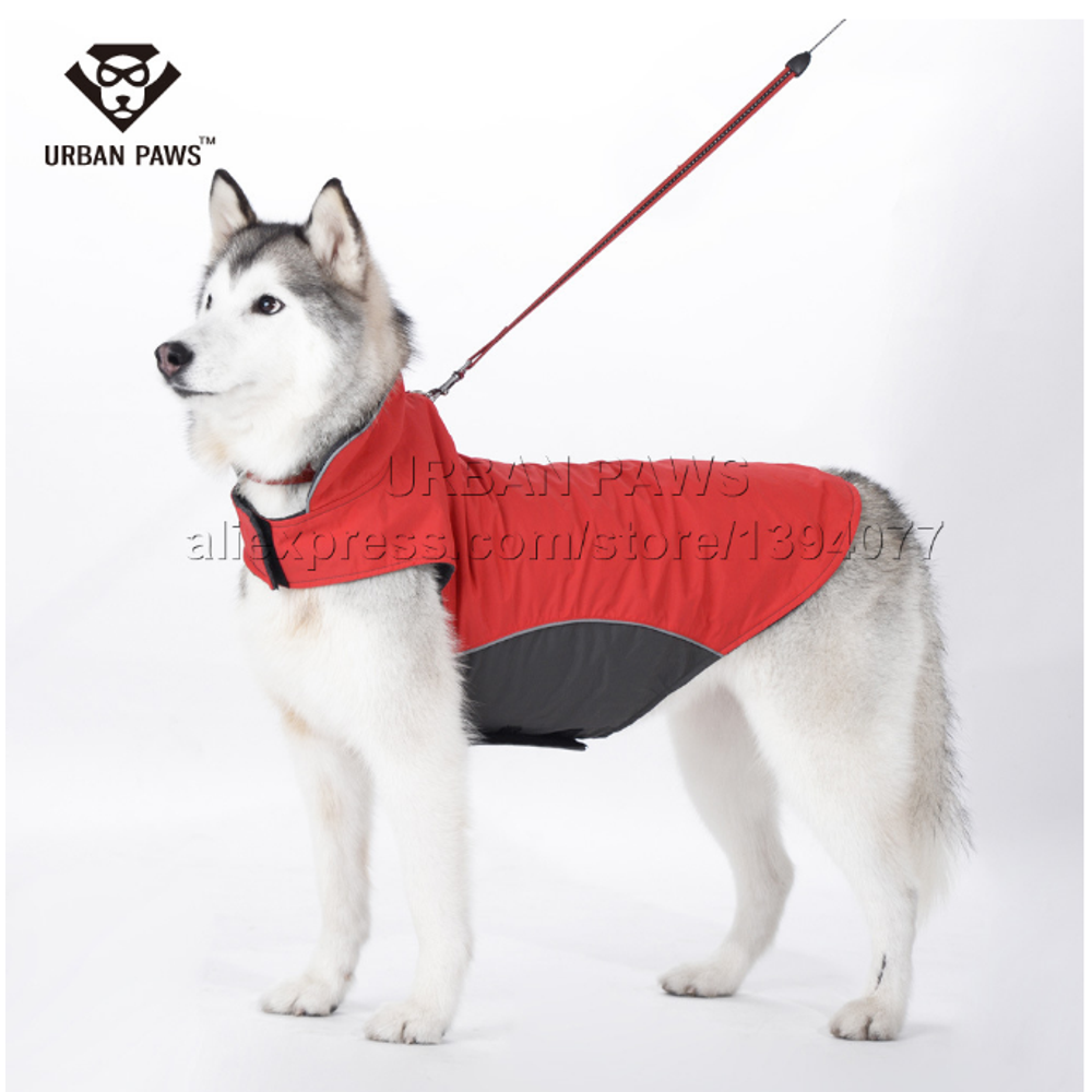 thinsulate dog coat