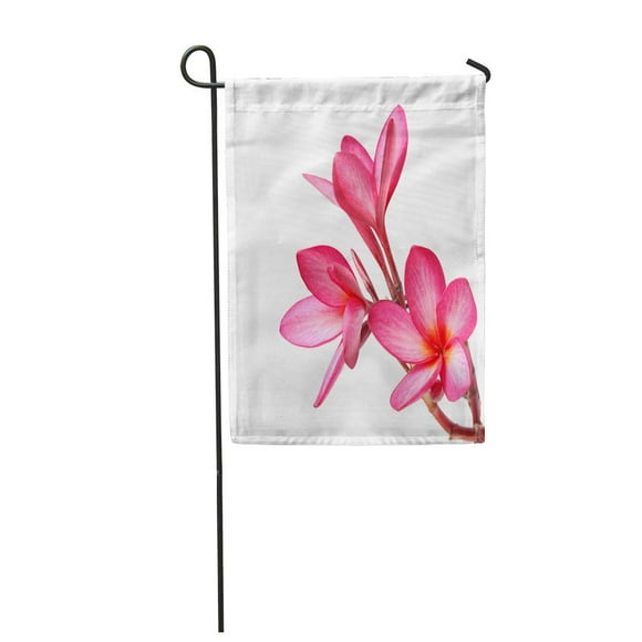 NUDECOR Pink Hawaiian Frangipani Flowers The White Red Hawaii Spa Beautiful Garden Flag Decorative Flag House Banner 28x40 inch