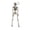 A006- Color F, variant on Halloween Skeleton Decorations 19 Inch Posable Skeleton with Top Hat and Vest Spooky Halloween Decor for Indoor Outdoor Haunted House Halloween Party 1 Piece