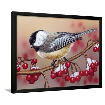 - Chickadee with Berries Framed Print Wall Art By William Vanderdasson