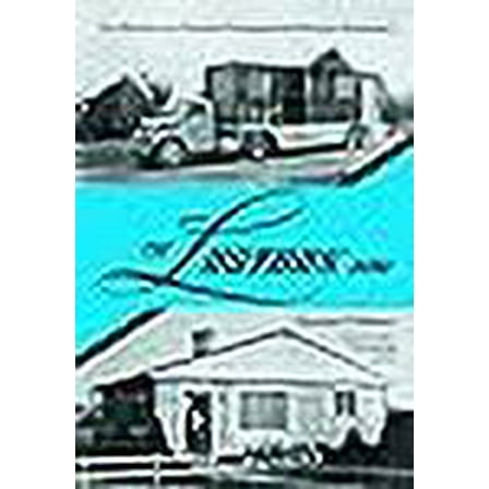 The Lustron Home (Paperback)