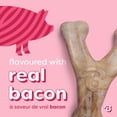 thumbnail image 2 of Benebone Essentials Puppy, 2-Pack Rubber and Bacon Wishbone, 2 of 9