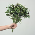 thumbnail image 5 of Paquete de 5 ramas de olivo, plantas artificiales, tallos verdes, hojas de olivo, frutas falsas, plantas de seda, 5 of 5