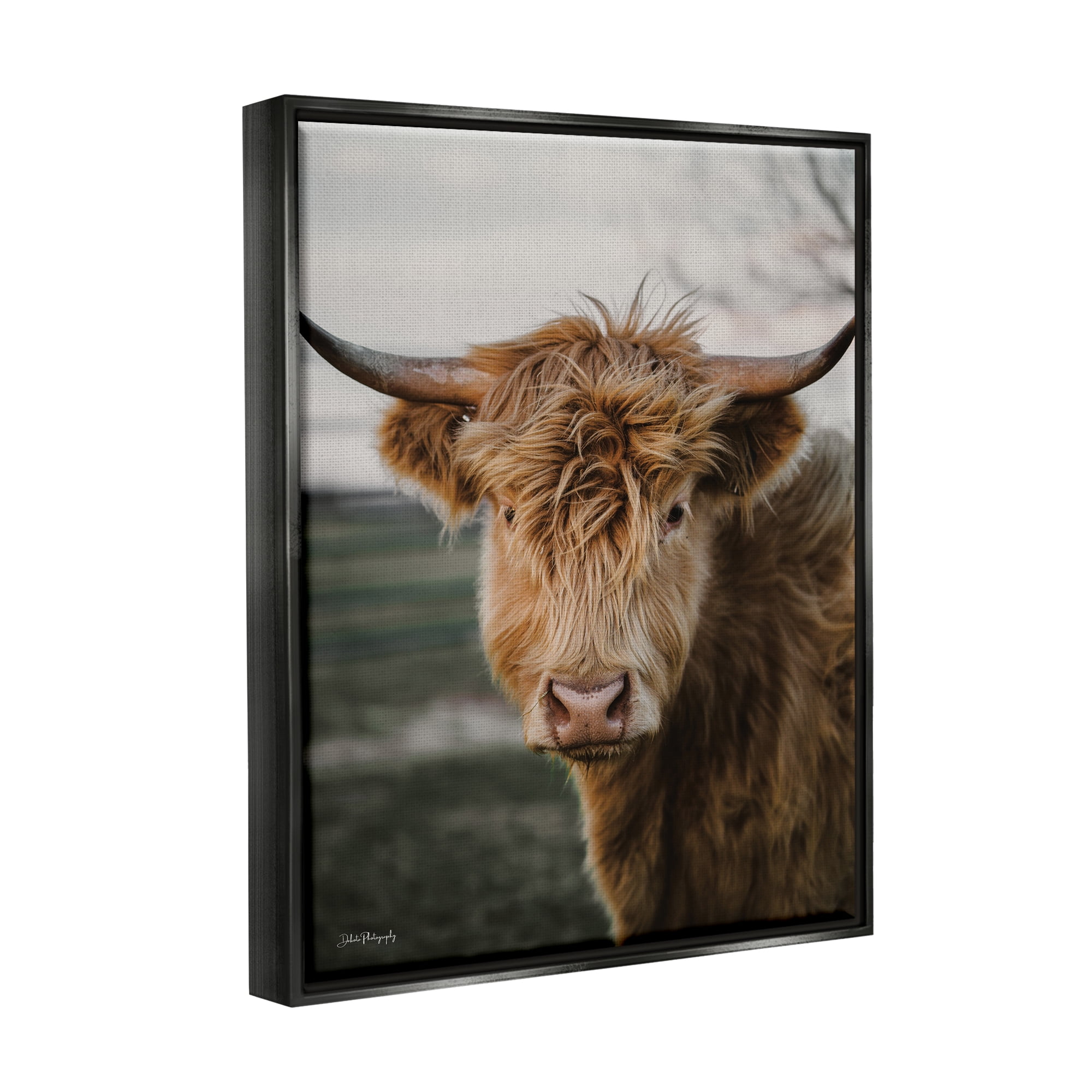 Stupell Industries Highland Cow Photography Animals & Insects Photography Black Floater Framed Art Print Wall Art, 25 x 31