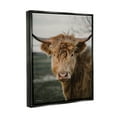 thumbnail image 4 of Stupell Industries Highland Cow Photography Animals & Insects Photography Black Floater Framed Art Print Wall Art, 25 x 31, 4 of 10