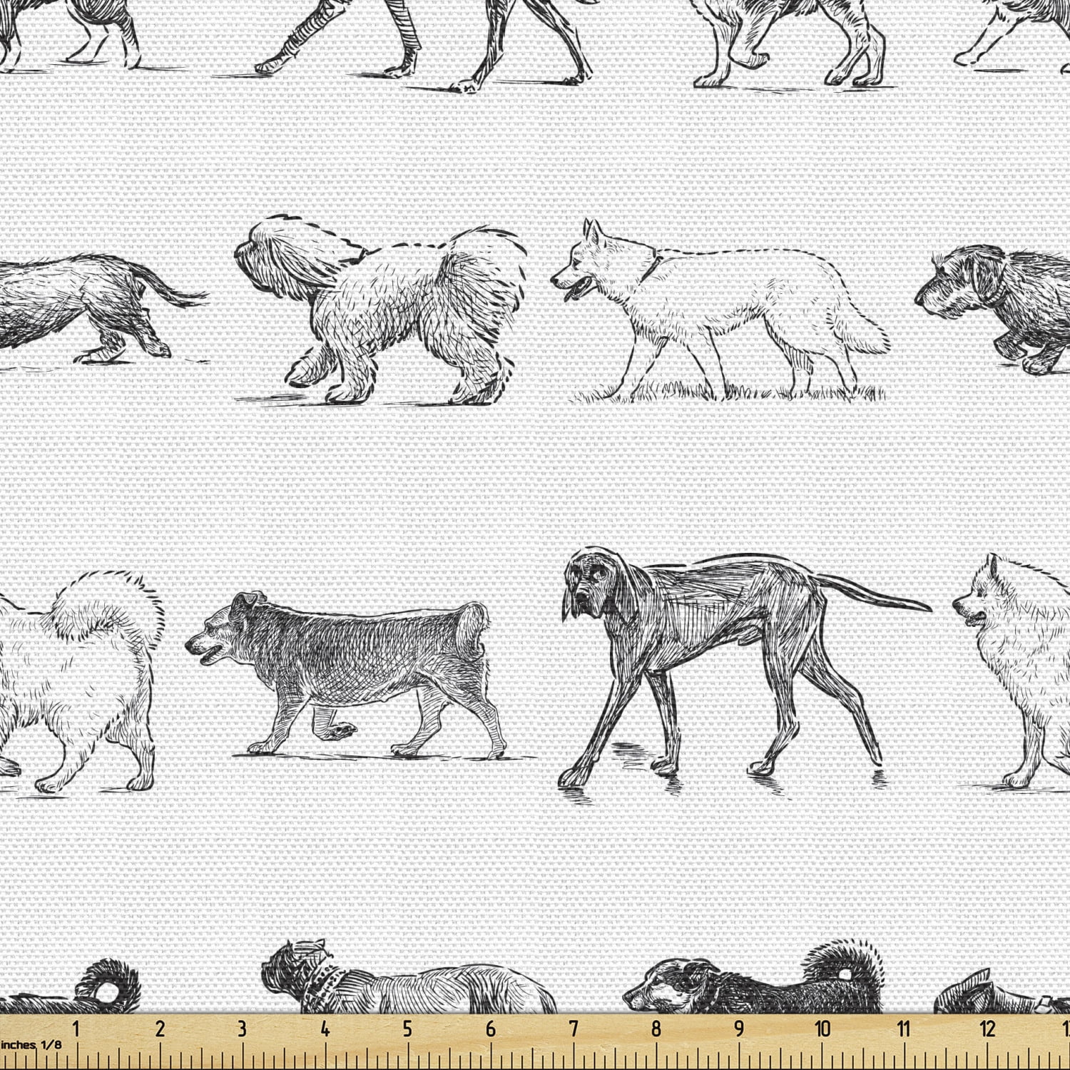 Do Dogs Have Different Accents