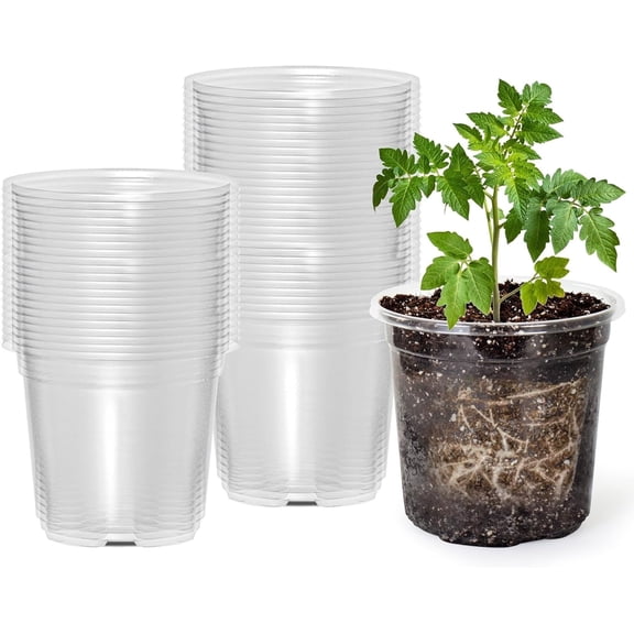 RUseeN 4" Clear Seeding Pots 30 Pack Round with Drainage Holes for Seeds Starter Pots, Seeds Germination Transparent Nursery Pots with Drainage Holes
