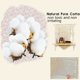 thumbnail image 5 of Inteprter Cuerda de macramé de 3mm, 4mm, 5mm, 6mm, cordón trenzado de algodón para cuerda Beige Natural hecha a mano, accesorios de boda para el hogar Artesanía 1 Uds 3mm * 200M Inteprter HA001999-01, 5 of 6