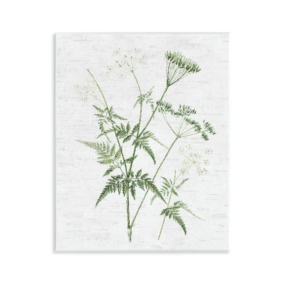 Stupell Industries Soft Blooming Bud Botanical & Floral Painting Unframed Art Print Wall Art, 11 x 14