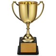 thumbnail image 1 of Trophy Cup Trophy Award Participation Trophy Cup For Home Competition Sports Party, 1 of 3