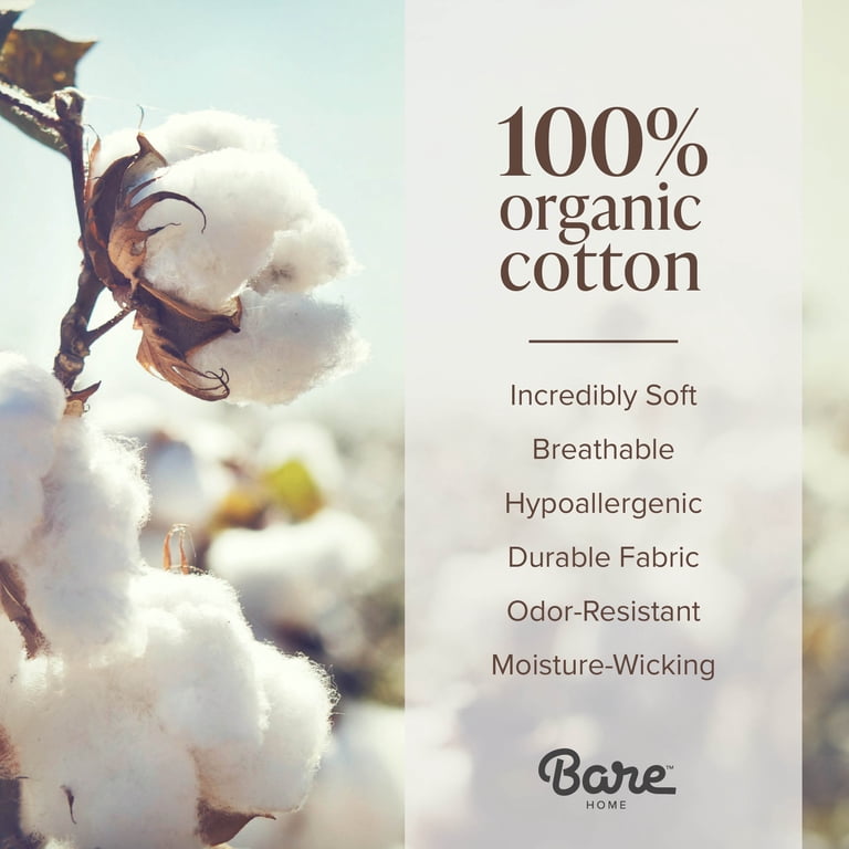 Bare Home Organic Cotton Jersey Queen 4-Piece Sheet Set photo 5